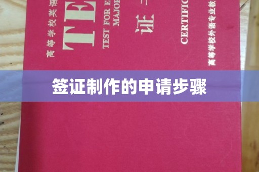 嘉荫签证制作的申请步骤